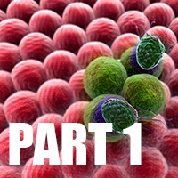 Cancer, Massage, and Symptom Relief 