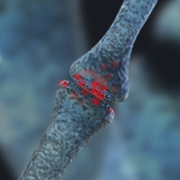 Fibromyalgia and Chronic Fatigue